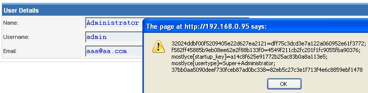 Stored XSS Example